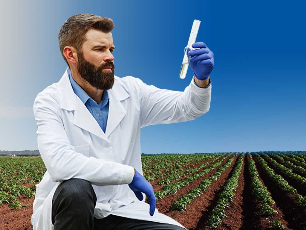 The Importance of Testing Soil Quality Microlit