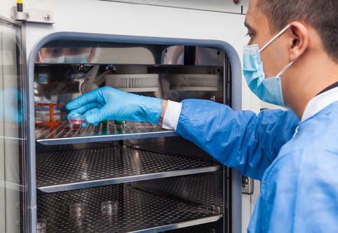 Laboratory researcher introducing a petri dish into the incubator