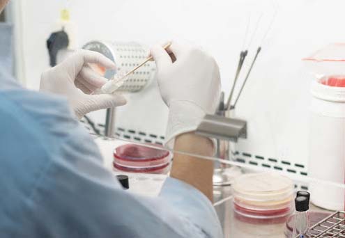 Lab technologist working in a biosafety cabinet room