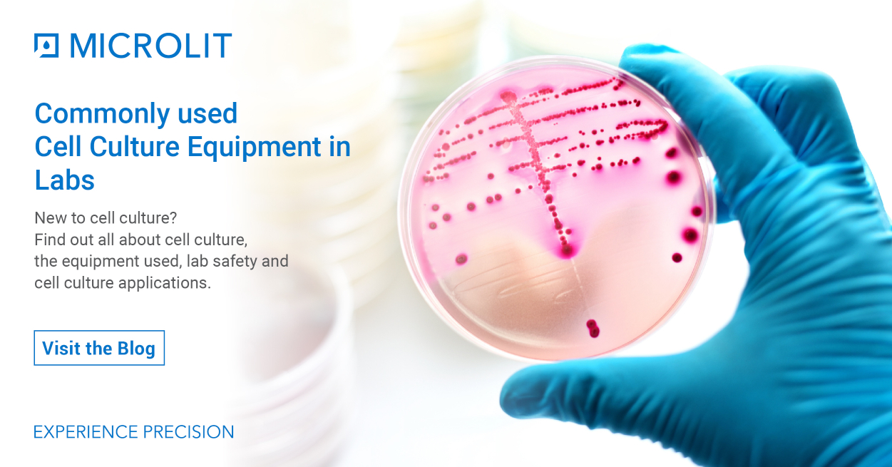 All You Should Know About Cell Culture