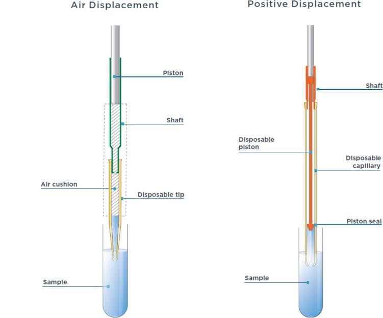 Contamination-pipetting: relative efficiency of filter tips compared to  Microman® positive displacement pipette