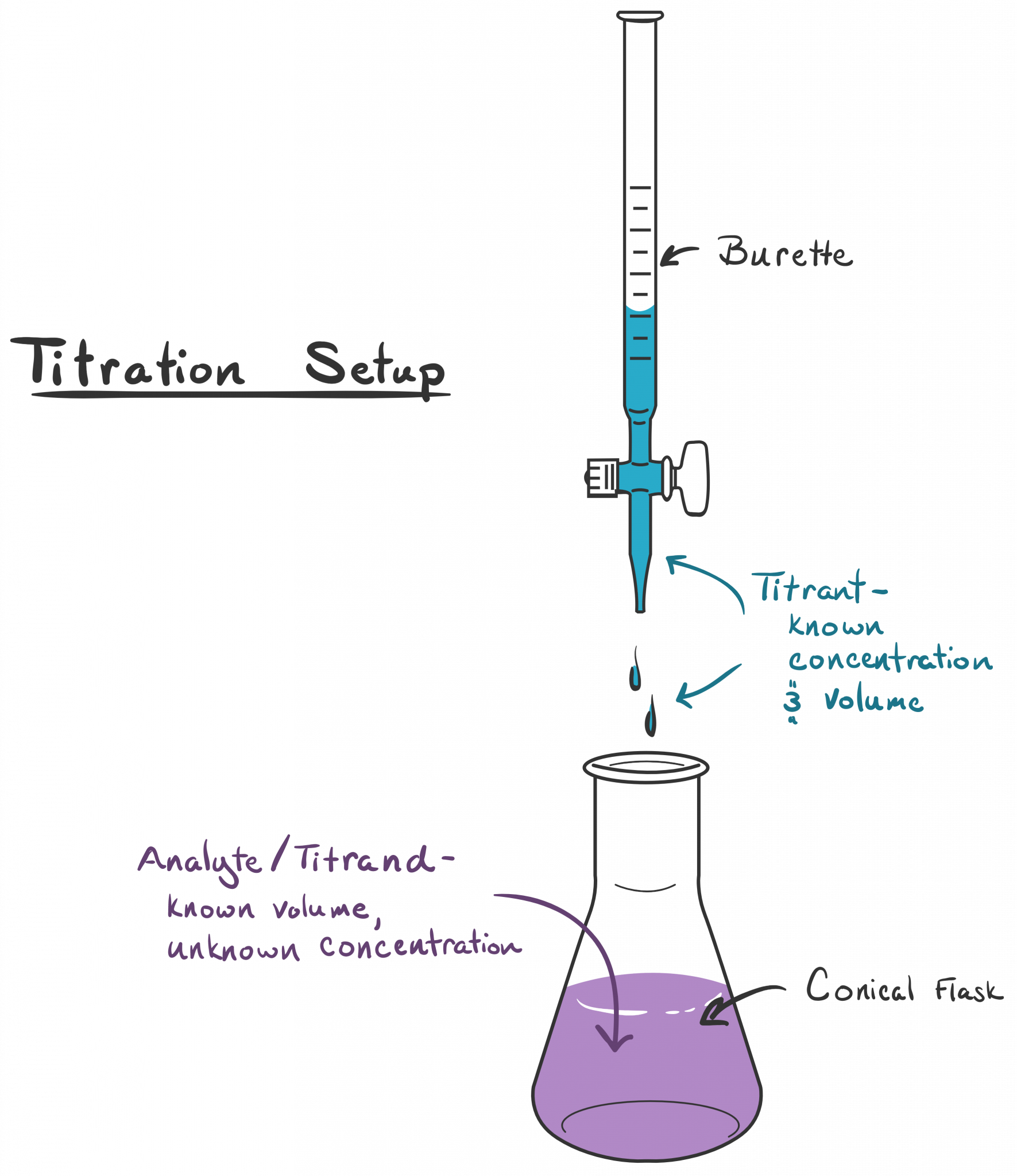 An Advanced Guide to Titration Microlit