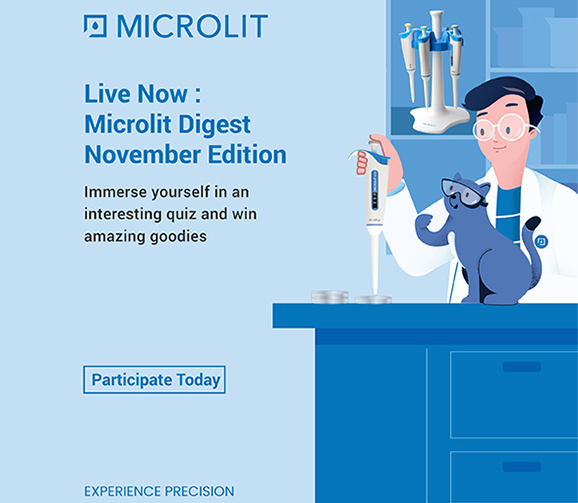 Make way for November Edition of Microlit Digest