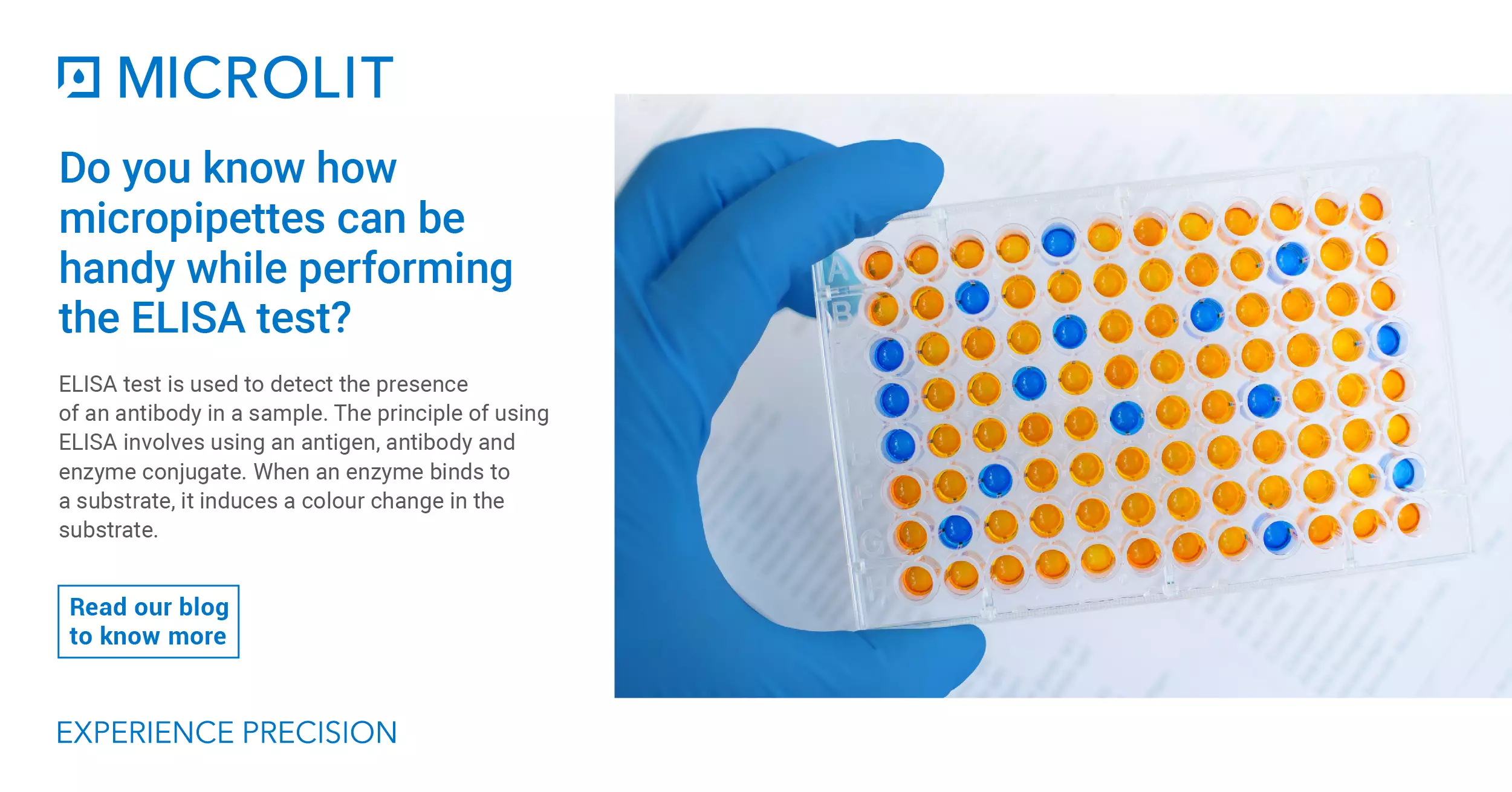 Understanding ELISA Test Basics and How Micropipettes Can be Handy While Performing These Tests